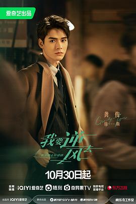 忘掉我是谁电视剧全集爱奇艺